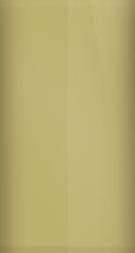 Honda Mocha Metallic YR-573M Touch Up Paint swatch