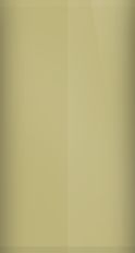 Maserati Old Gold Metallic 8211 Touch Up Paint swatch