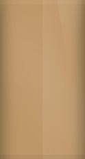 Ford Light Chestnut 9T/6190 Touch Up Paint swatch
