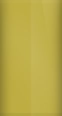 BMW Austin Yellow BMW111 Touch Up Paint swatch