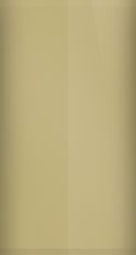Buick Medium Beige WA8030/61/38 Touch Up Paint swatch