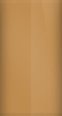 Saturn Light Copper Metallic 69/WA155D Touch Up Paint swatch