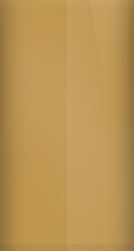 Chevrolet Gold Metallic WA548G/61U Touch Up Paint swatch