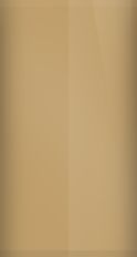 Pontiac Baja Gold Poly 55  (1971) Touch Up Paint swatch
