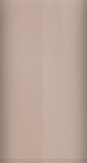 Porsche Coffee Beige Metallic 4I/M8Q/4I4I Touch Up Paint swatch