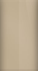 Ford Beige Mist Poly E (1968) Touch Up Paint swatch