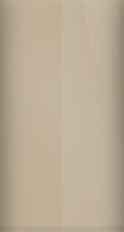 Mercury Medium Desert Tan 53 Touch Up Paint swatch