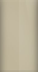 Toyota Beige Metallic 4A4 Touch Up Paint swatch