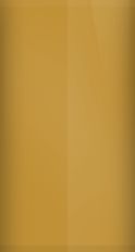 Buick Light Camel Metalllic WA7136/34 Touch Up Paint swatch