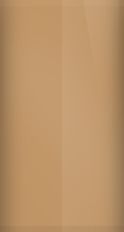 Nissan Mission Tan Metallic 10 Touch Up Paint swatch