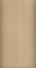Ford Medium Sandalwood Metallic A2/B8 Touch Up Paint swatch