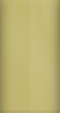 Mercury Light Gold (Two Tone) 6W (1979) Touch Up Paint swatch