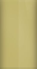 American Motors Autumn Gold 1D Touch Up Paint swatch