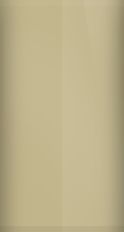 Oldsmobile Colonial Gold 55 (1974) Touch Up Paint swatch