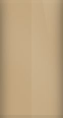 Buick Musket Saddle Metallic WA4836/67 Touch Up Paint swatch