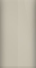 Chevrolet Desert Beige WA3164/938/R Touch Up Paint swatch
