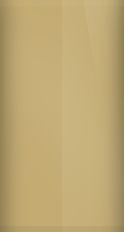 Nissan Aspen Gold Metallic 827 Touch Up Paint swatch