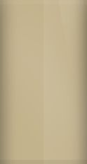 Nissan Gold Mist Metallic 226 Touch Up Paint swatch
