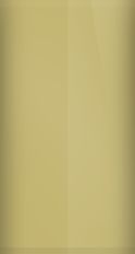 Ford Durango Tan X (1973) Touch Up Paint swatch