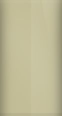 Toyota Champagne Metallic 586 Touch Up Paint swatch