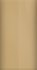 Mercury Medium Gold Irid. S (1969) Touch Up Paint swatch