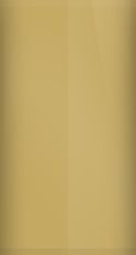 Nissan Orchre Gold Metallic YV2 Touch Up Paint swatch