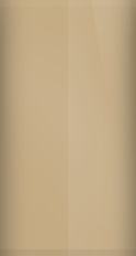 Jaguar Antelope Metallic AFM Touch Up Paint swatch