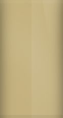 Dodge Medium Tundra Metallic JT5/PT5 Touch Up Paint swatch