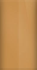 Buick Light Beechwood Metallic WA9089/62 Touch Up Paint swatch