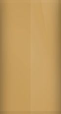 Ford Medium Desert Tan 53/5948 Touch Up Paint swatch