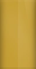 Ford Medium Yellow Gold 6-C (1973) Touch Up Paint swatch