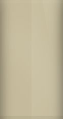 Infiniti Beige PC17 Touch Up Paint swatch