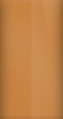 Ram Power Tan P81 Touch Up Paint swatch