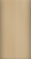 Lincoln Tan 5L (1973) Touch Up Paint swatch