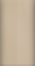 Mercedes-Benz Canyon Brown/Rosewood Metallic 485/8485 Touch Up Paint swatch