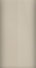 Buick Desert Beige WA2979/R Touch Up Paint swatch