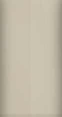 Volkswagen Nutria Beige L575 Touch Up Paint swatch