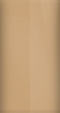 Ford Sequoia Brown Metallic R-TRU (1972) Touch Up Paint swatch