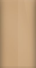 Land Rover Corinthian Bronze 2506/1EA Touch Up Paint swatch