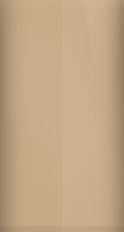 Porsche Light Gold Metallic LY1Z/U2 Touch Up Paint swatch