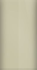 Volkswagen Kansas Beige L91D Touch Up Paint swatch
