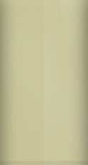 Oldsmobile Ivory T (1968) Touch Up Paint swatch