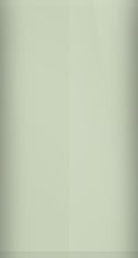Buick Green Jewel Frost Metallic WA984L/23 Touch Up Paint swatch