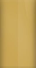 Isuzu Star Gold Metallic 799/U106 Touch Up Paint swatch