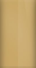 Pontiac Desert Sand 56 (1973) Touch Up Paint swatch