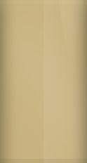 American Motors Sand Tan 6D Touch Up Paint swatch