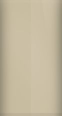 Ford Briarwood Beige Pearl Metallic CW Touch Up Paint swatch