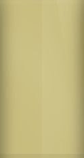 Buick Yellow Beige 84 Touch Up Paint swatch