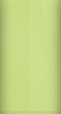 Porsche Peridot Metallic 2S1/7L Touch Up Paint swatch