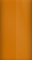 Dodge Sunset Orange 064 (1976) Touch Up Paint swatch
